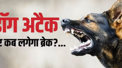 Photo of  कानपुर में लावारिस कुत्तों ने बीबीए छात्रा पर बोला हमला