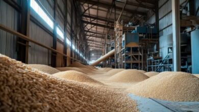 Photo of यूपी में राशन घोटाला: थार से चलने वाला खा रहा गरीबों का राशन