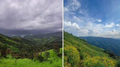 Photo of विंटर सीजन में घूमने के लिए परफेक्ट है महाबलेश्वर