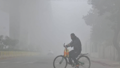 Photo of यूपी में ठंड ने पकड़ी रफ्तार पारा 10 डिग्री से नीचे