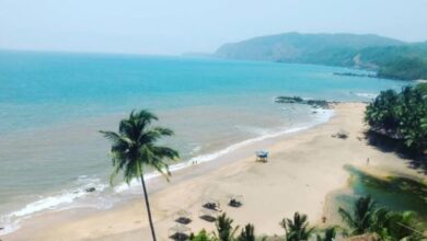 Photo of  क्रिसमस और नए साल के लिए भारत की बेस्ट 8 जगह, जो बना देंगी दिसंबर ट्रिप को यादगार