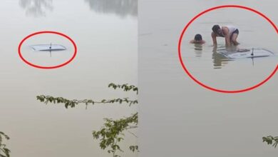 Photo of घने कोहरे में सड़क गायब! तालाब में गिरी कार, चालक ने पल भर में छलांग लगाकर बचाई अपनी जान