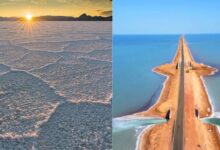 Photo of न रेत, न मिट्टी… यहां दूर-दूर तक फैला है नमक का समंदर!