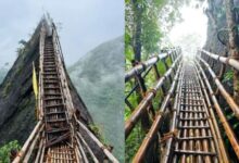 Photo of मेघालय का सबसे खतरनाक ट्रैक यू मावरिंगखांग बांस ट्रैक