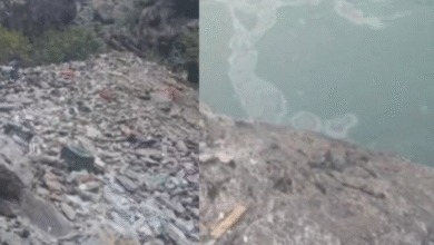 Photo of ऋषिकेश-बदरीनाथ राष्ट्रीय राजमार्ग पर हादसा