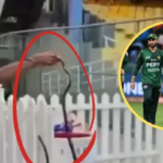 Photo of IND vs PAK: कोलंबो में महामुकाबले से पहले पाकिस्तान के डगआउट में निकला सांप