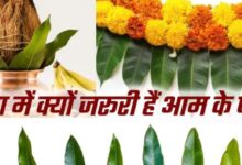 Photo of आम के पत्तों के बिना क्यों अधूरा है हर मांगलिक कार्य